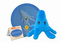 Amoeba Bleu