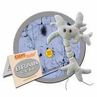 Brain Cell