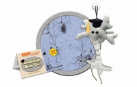 Brain Cell Graduation