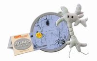 Brain Cell key chain