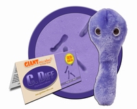 C. Diff