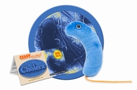 Cholera