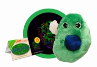Diabetes beta cell