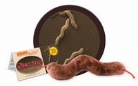 Diarrhea
