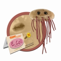 E. Coli