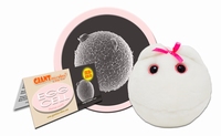 Egg Cell