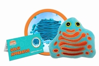 Golgi Apparatus