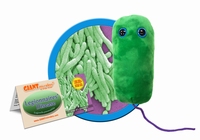 Legionnaires Disease