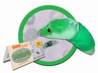 Malaria