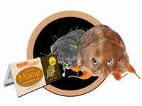 Mange