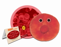 Red Blood Cell