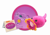 Rotifer