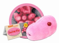 Swine Flu
