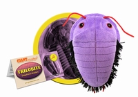 Trilobite
