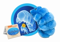 Waterbear