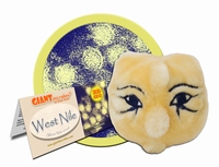 West Nile