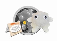White Blood Cell