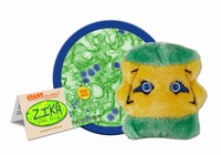 Zika Virus