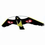 Terror Hawk