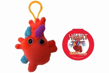 Heart Key Chain
