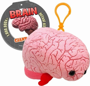 Brain Key Chain
