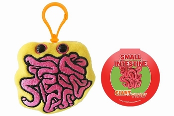 Small Intestine Key Chain