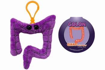 Colon