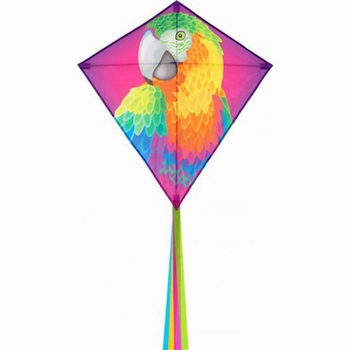 Eddy Parrot