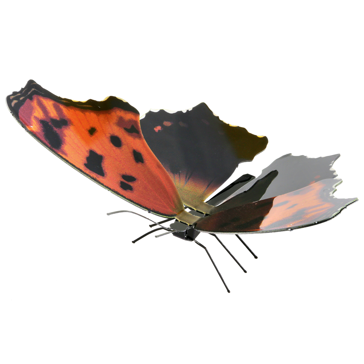Eastern Comma
