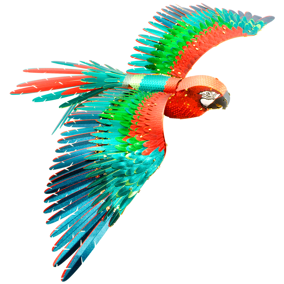 Premium Series Parrot