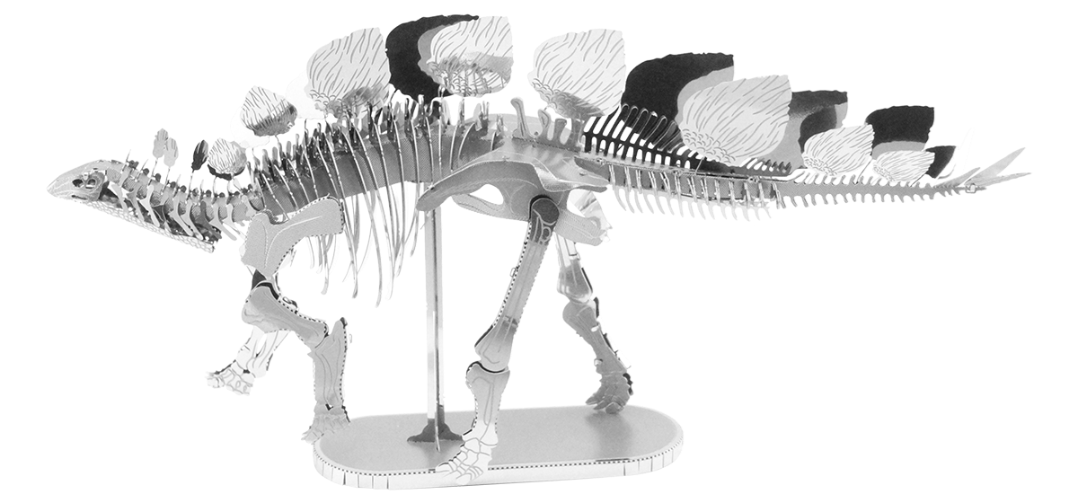 Stegosaurus