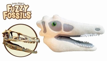 Velociraptor Skull