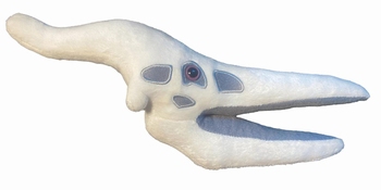 Pteranodon Skull