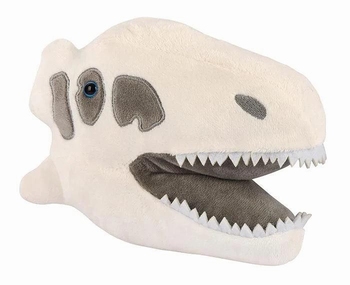 Allosaurus Skull