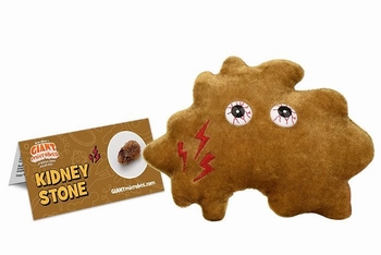 Kidney Stone
