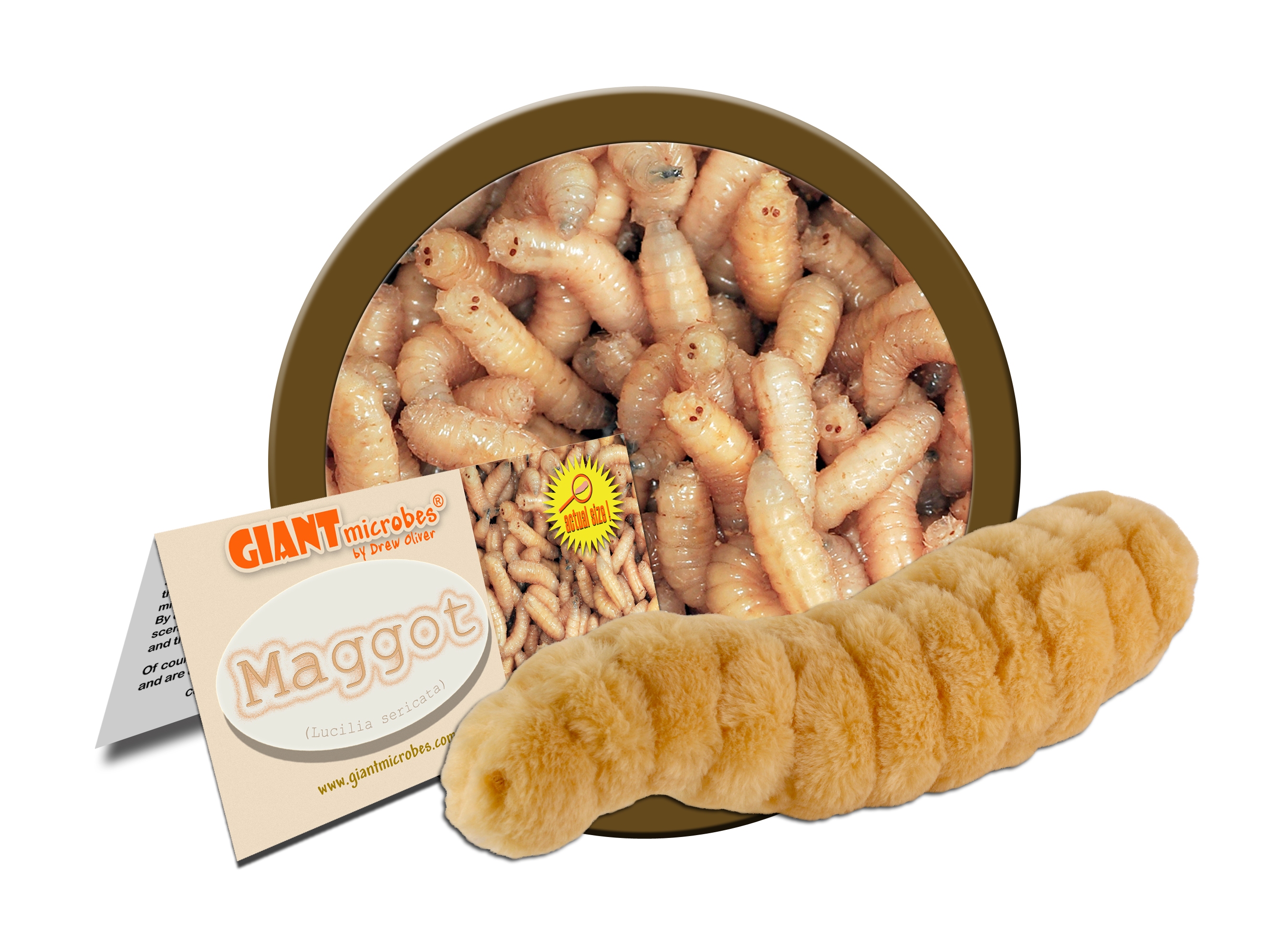 Crawlers