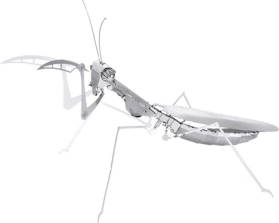Insecten