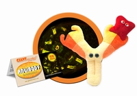 Antibody