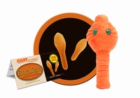 Botulism