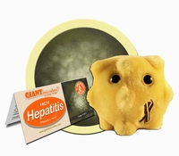 Hepatitis