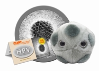HPV