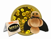 MRSA