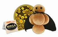 MRSA key chain