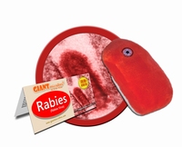 Rabies