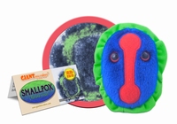 Small Pox