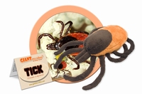 Tick