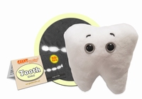 Tooth