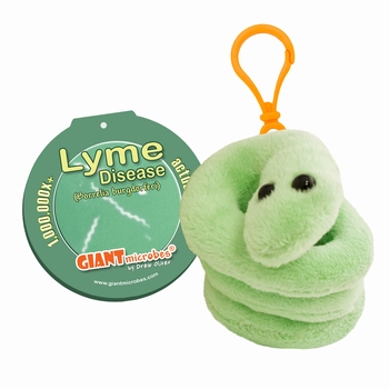 Lyme Disease Key Chain