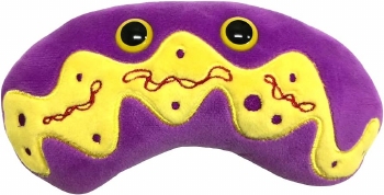 Mitochondria