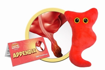 Appendix